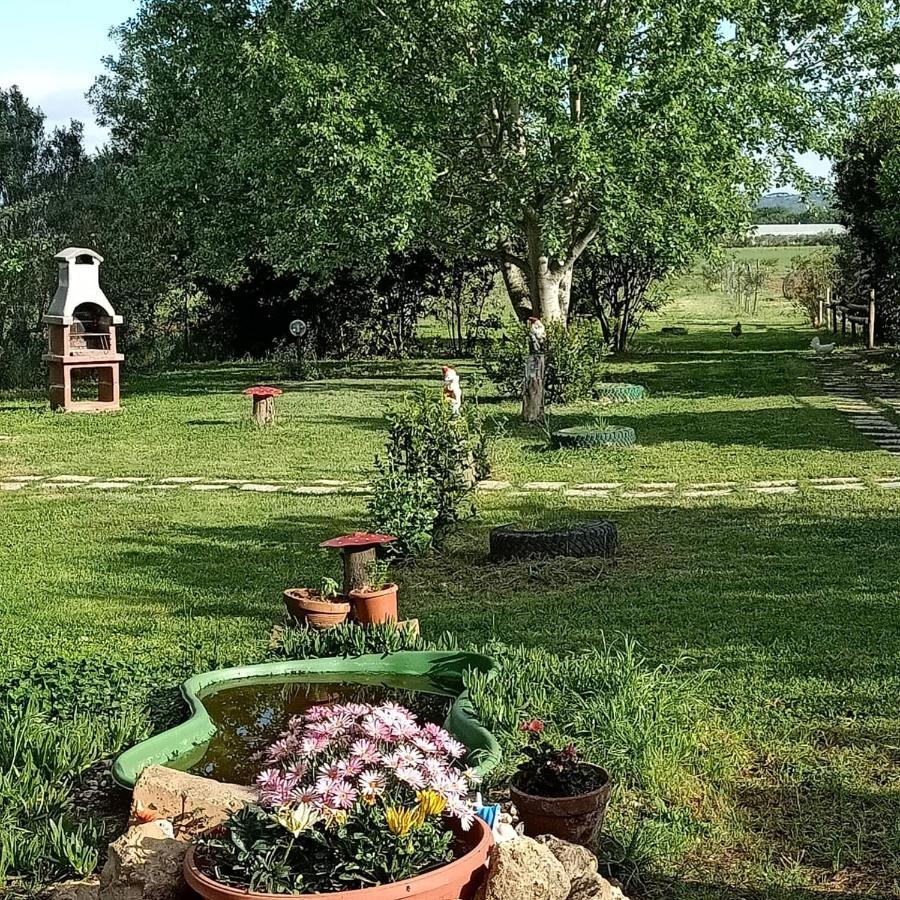 Agriturismo Il Cipresso Vada Eksteriør billede