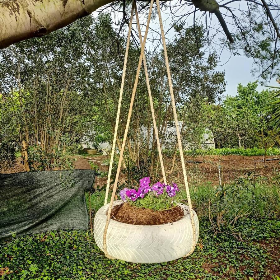 Agriturismo Il Cipresso Vada Eksteriør billede