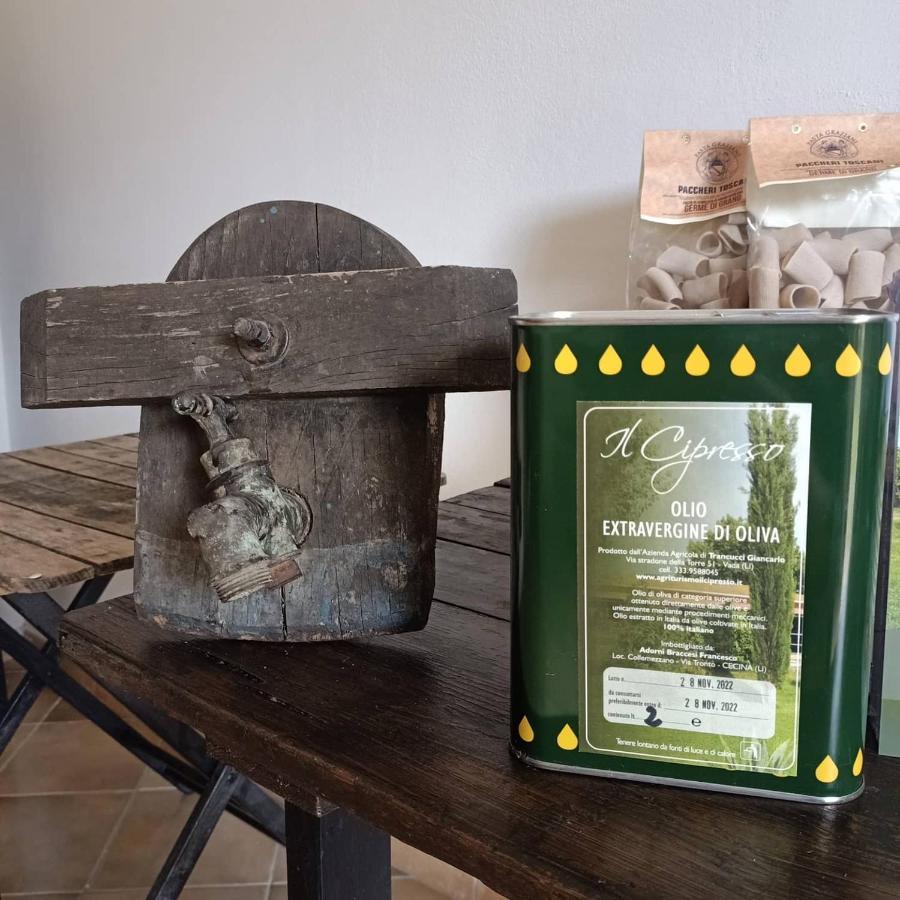 Agriturismo Il Cipresso Vada Eksteriør billede