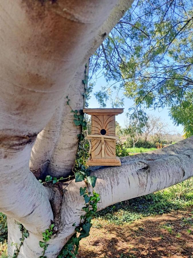 Agriturismo Il Cipresso Vada Eksteriør billede