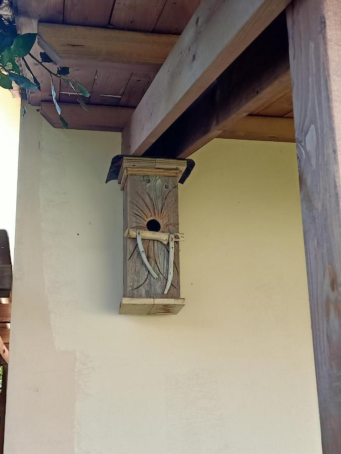 Agriturismo Il Cipresso Vada Eksteriør billede