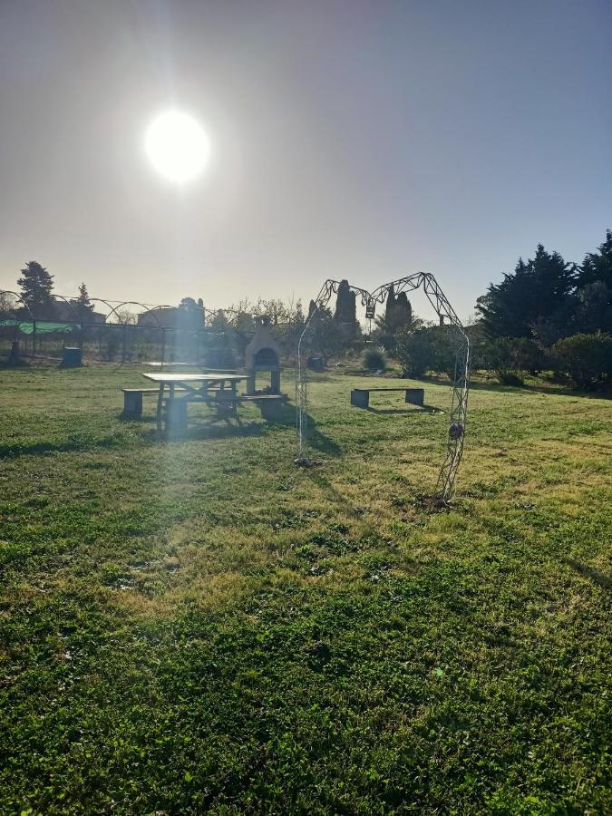 Agriturismo Il Cipresso Vada Eksteriør billede