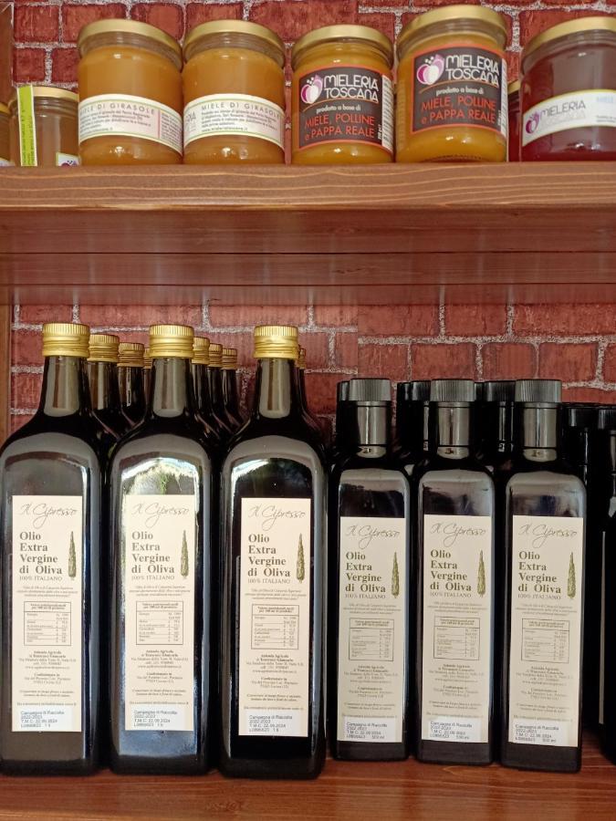 Agriturismo Il Cipresso Vada Eksteriør billede
