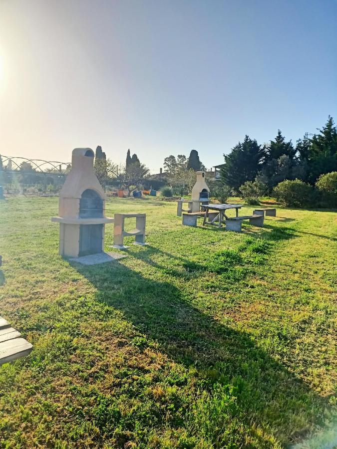Agriturismo Il Cipresso Vada Eksteriør billede