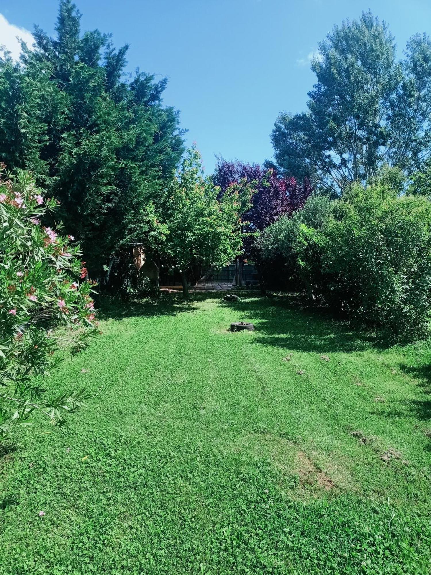 Agriturismo Il Cipresso Vada Eksteriør billede