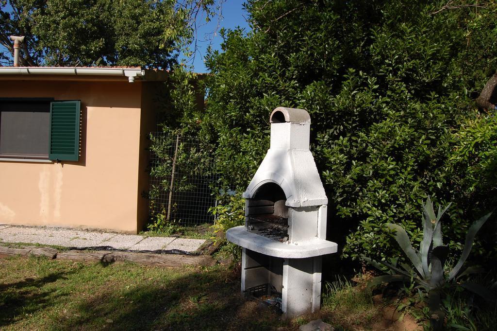 Agriturismo Il Cipresso Vada Eksteriør billede